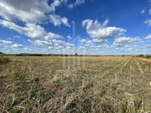 De vânzare teren intravilan – Cristian, Sibiu - imagine 7