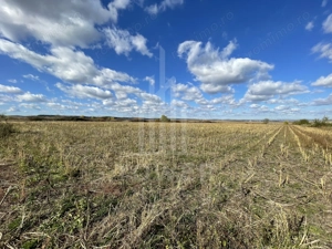 De vânzare teren intravilan – Cristian, Sibiu - imagine 6