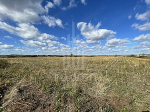 De vânzare teren intravilan – Cristian, Sibiu - imagine 8