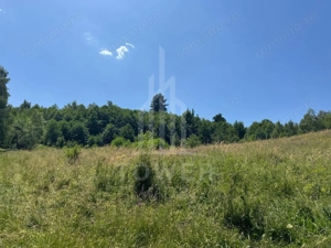 Teren intravilan 4600mp - 55 EUR/mp - EXCLUSIVITATE CISNADIOARA - COMISION 0% - imagine 7