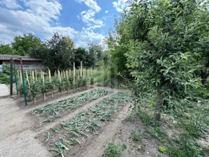 Casă spațioasă in Seica Mare - Centru | 92mpu 638mp teren - EXCLUSIVITATE - imagine 7