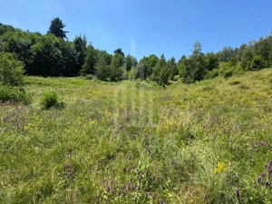 Teren intravilan 4600mp - 55 EUR/mp - EXCLUSIVITATE CISNADIOARA - COMISION 0% - imagine 12