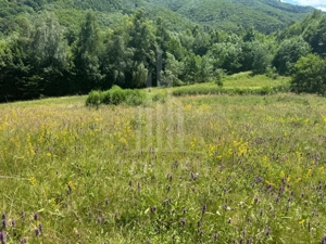 Teren intravilan 4600mp - 55 EUR/mp - EXCLUSIVITATE CISNADIOARA - COMISION 0% - imagine 10