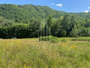 Teren intravilan 4600mp - 55 EUR/mp - EXCLUSIVITATE CISNADIOARA - COMISION 0% - imagine 9