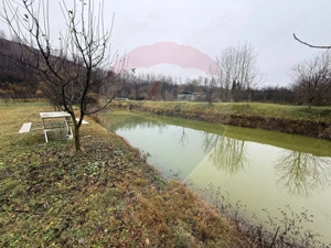 Casă / Vilă cu 5 camere de vânzare - imagine 4