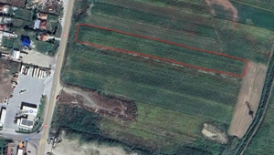 Teren de vânzare 5000 mp, Valea Mare, Băbeni   DN64 - imagine 6