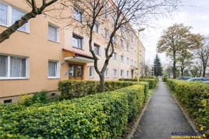 Cartierul Florilor, imobil renovabil, etaj intermediar, zona linistita, Brasov - imagine 8