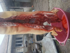 Disponibil carcasa  - imagine 3