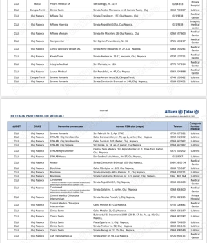 Pui pisica british shorthair femela blue - imagine 5