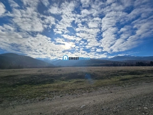 Teren de vanzare in satul de vacanta Dejani - imagine 11