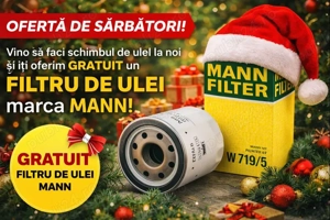 Service Auto-Tractari auto