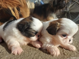 Cadoul perfect de Crăciun - imagine 5