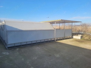 Vand padocuri porci - imagine 3