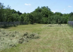 Teren extravilan Lugoj 10000 mp 