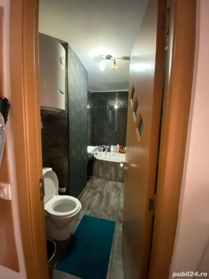 Parcul circului - Parcul Tei Regim Hotelier - imagine 4