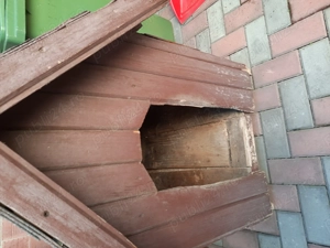 Vând cusca caine - imagine 4