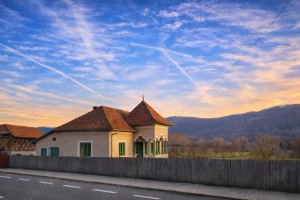 Teren 4.443 mp intravilan + extravilan | Nicolae Bălcescu   Pleșoiu, jud Valcea - imagine 5