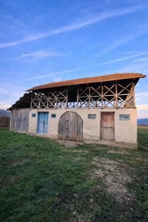 Teren 4.443 mp intravilan + extravilan | Nicolae Bălcescu   Pleșoiu, jud Valcea - imagine 6