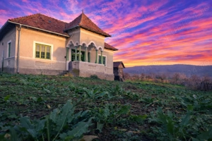 Teren 4.443 mp intravilan + extravilan | Nicolae Bălcescu   Pleșoiu, jud Valcea - imagine 2