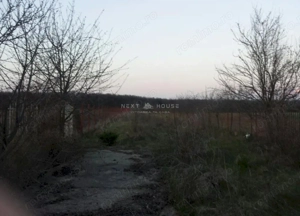 Casa Vacanta Izvorani - imagine 4