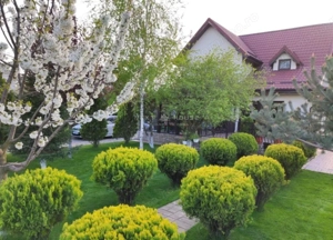 Casa 3 camere Domnesti - imagine 13