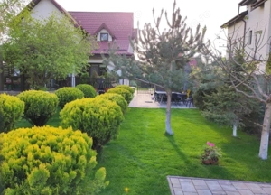 Casa 3 camere Domnesti - imagine 14