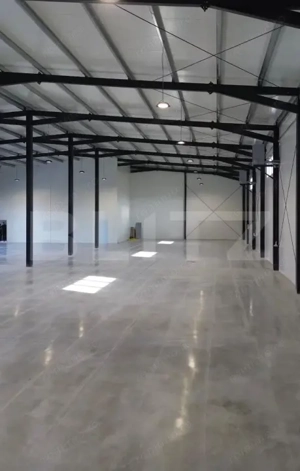 Doua hale industriale 620 - 1500 mp, Campenesti /Apahida - imagine 5