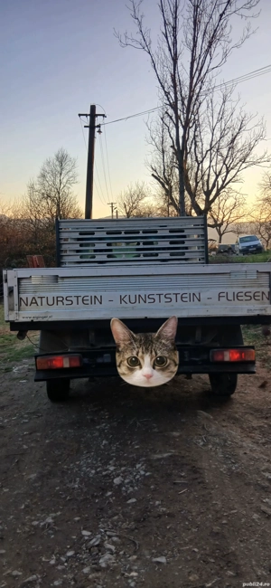 ford transit 2007 impecabil  - imagine 8