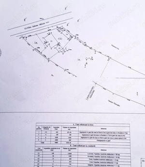 Teren 4.443 mp intravilan + extravilan | Nicolae Bălcescu   Pleșoiu, jud Valcea - imagine 11