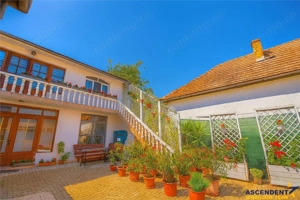 FILM  3D!Proprietate duala distinctiva: showroom,birouri,locuinta,venit pasiv, infrastructura comple - imagine 4