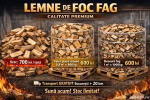 lemne de foc fag