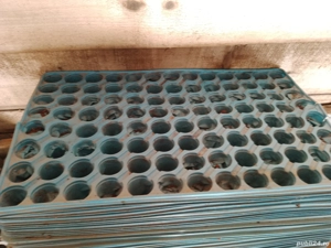 vind alveole ptr.ardei