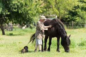 Vand 2 cai frumosi - imagine 4