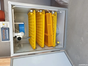 incubator 300 oua - imagine 2