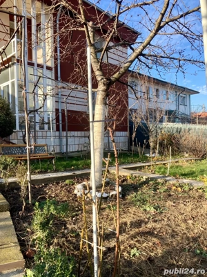 Casă in zona linistită si retrasă - imagine 8