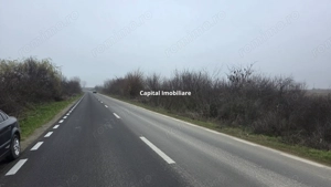 Teren 3000 mp dublu acces – vedere la Dunăre - imagine 6