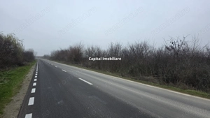 Teren 3000 mp dublu acces – vedere la Dunăre - imagine 7