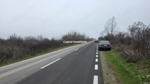 Teren 3000 mp dublu acces – vedere la Dunăre - imagine 5