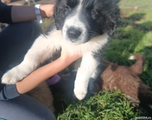 Cel mai frumos cadou de Crăciun! - imagine 3