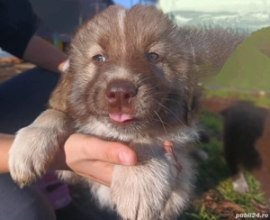 Cel mai frumos cadou de Crăciun! - imagine 5