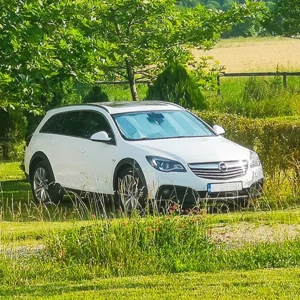 Opel Insignia Country Tourer 2.0 BiTurbo 4x4 Automat (Avariat) - imagine 3