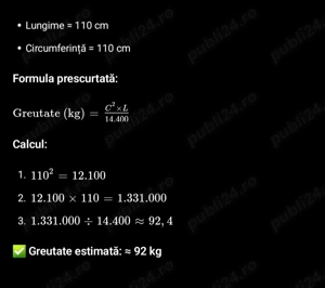 Disponibili la alegere 2 purcei din 4 rasa Landrace Pietrain ! - imagine 5