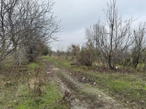 Teren Bolintin-Vale Intravilan UTILITATI URBANSIM - imagine 3