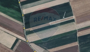 Teren extravilan arabil de vânzare – Satul Nou, comuna Hălchiu - imagine 4