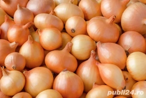 De vânzarea crapă bio