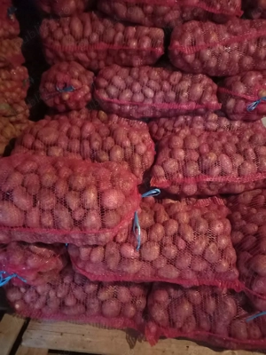 Vand cartofi consum alb și rosu