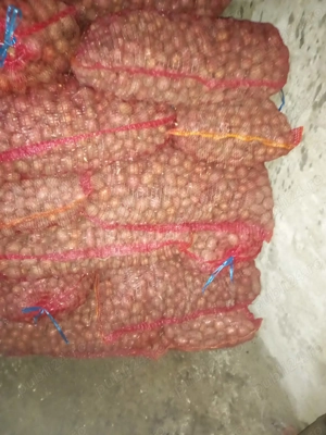 Vand cartofi  pentru animale