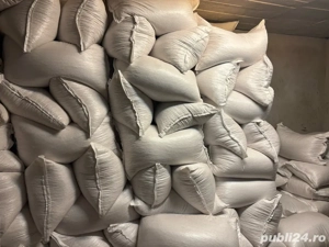 Porumb ambalat la sac de 40 kg