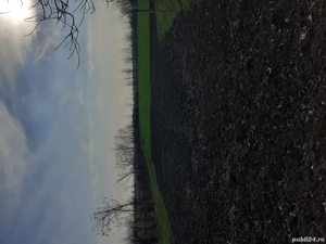 Ghilad-Vand teren intravilan. - imagine 2