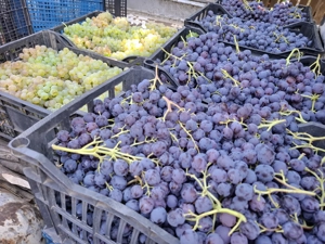 Vand vin alb,rosu si roze!